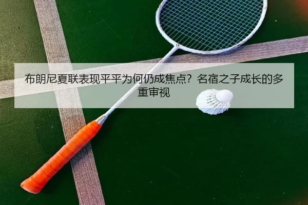 bu-lang-ni-xia-lian-biao-xian-ping-ping-wei-he-reng-cheng-jiao-dian-ming-su-zhi-zi-cheng-zhang-de-duo-chong-shen-shi-2-359.jpg